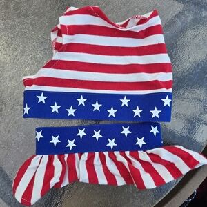 Flag  2 piece dog bathing suit